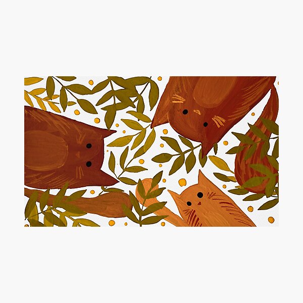 Cats and branches - autumn Photographic Print