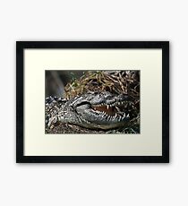 Ancient Predator - Nile Crocodile's grin Framed Print