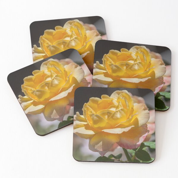 Item preview, Yellow Rose designed and sold by Withns.