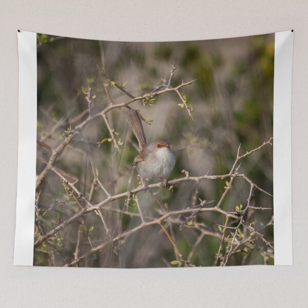 Item preview, Female Fairy Wren designed and sold by Withns.