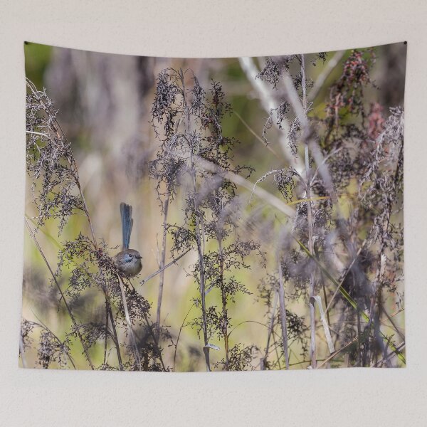 Item preview, Variegated Fairywren designed and sold by Withns.