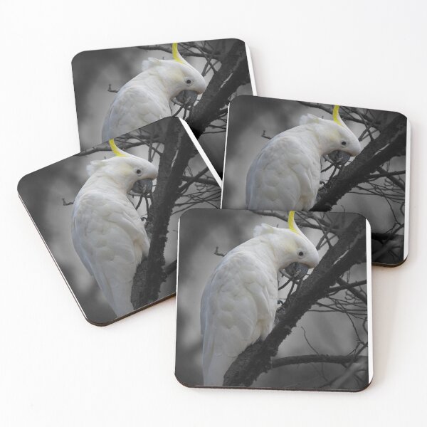 Item preview, Sulphur Crested Cockatoo_3798A designed and sold by SEADOGPRINTS.