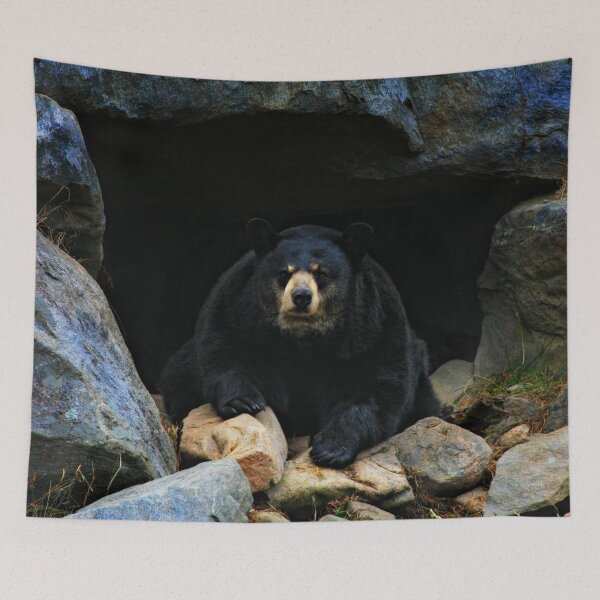 Item preview, Close Encounter - Bear designed and sold by Yannik Hay.