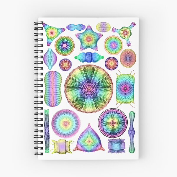 Item preview, Ernst Haeckel Rainbow Diatoms designed and sold by aimeewilson.