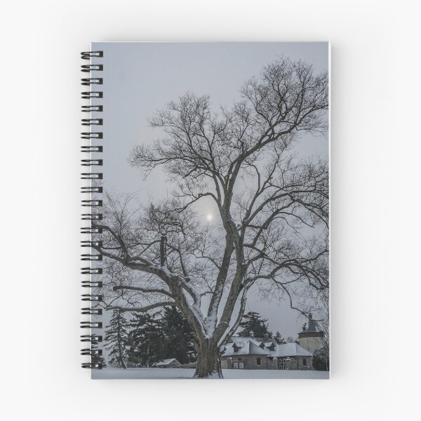 Item preview, Winter at Maymont designed and sold by Dave Parrish Photography.