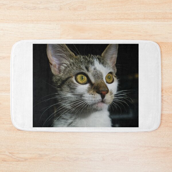 Item preview, Jax designed and sold by Dave Parrish Photography.
