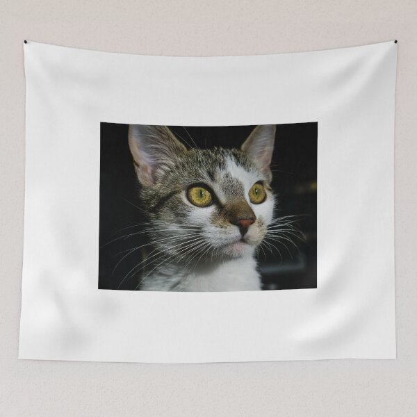 Item preview, Jax designed and sold by Dave Parrish Photography.