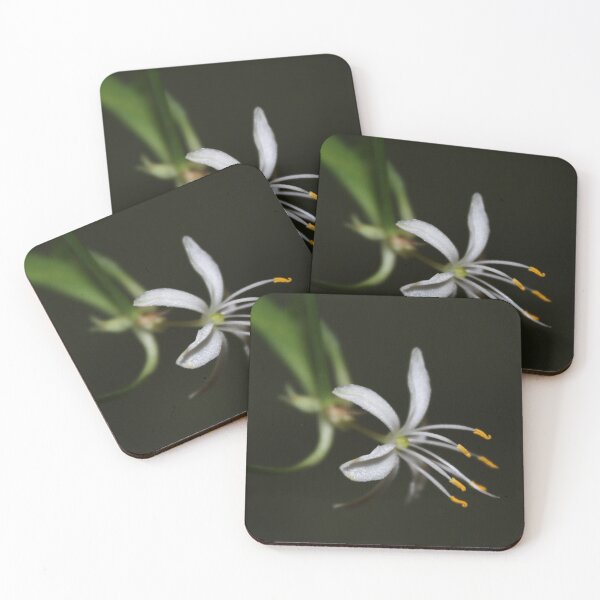 Item preview, Spider Plant Flower designed and sold by Katagram.