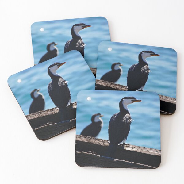 Item preview, Pied Cormorants designed and sold by D-GaP.