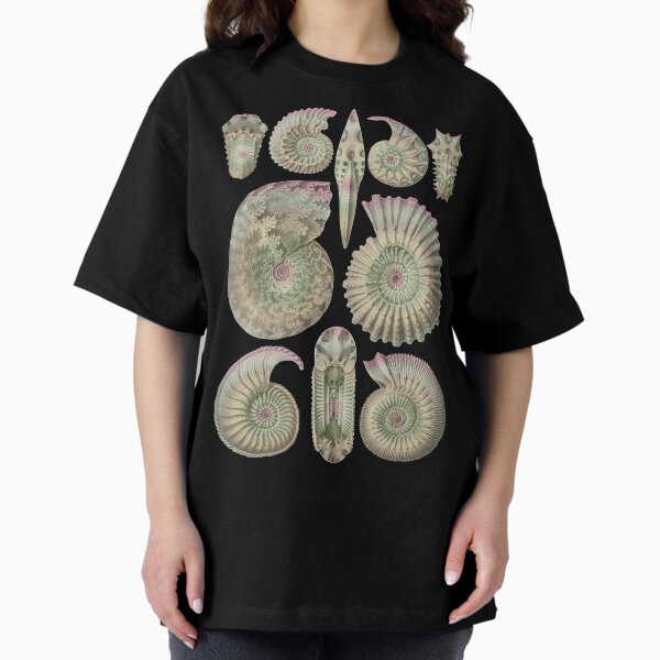 Vista previa del artículo con la obra «Ernst Haeckel Ammonitida Amonita Tonos Tierra», diseñado y vendido por aimeewilson.