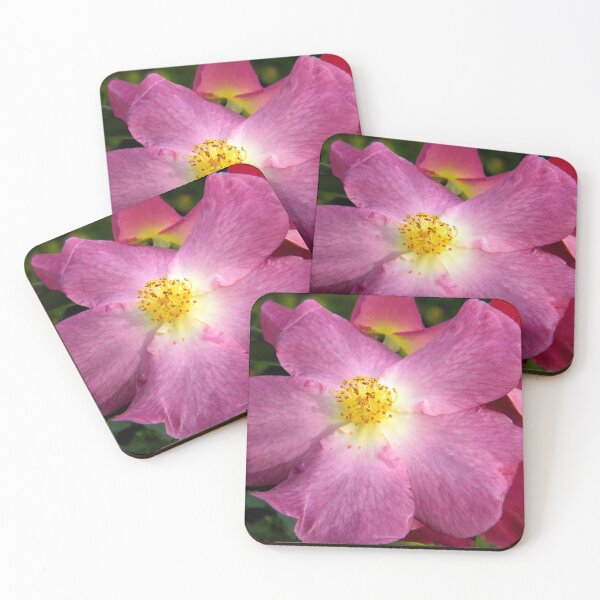 Item preview, Disguised designed and sold by NatureRaven.