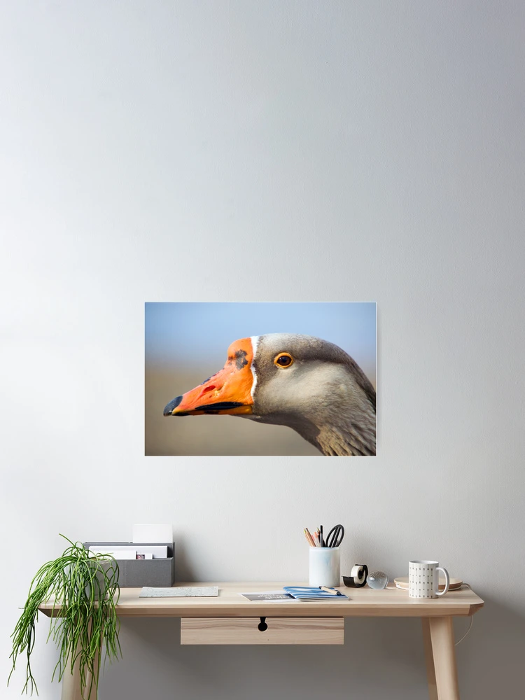 Thumbnail 2 of 3, Poster, Goose Portrait designed and sold by Randall Ingalls.