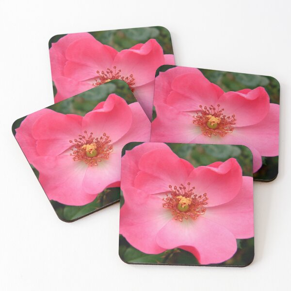 Item preview, Resilience designed and sold by NatureRaven.