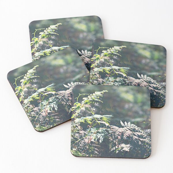 Item preview, Forest ferns dancing in the sunlight  designed and sold by Bellamaree.