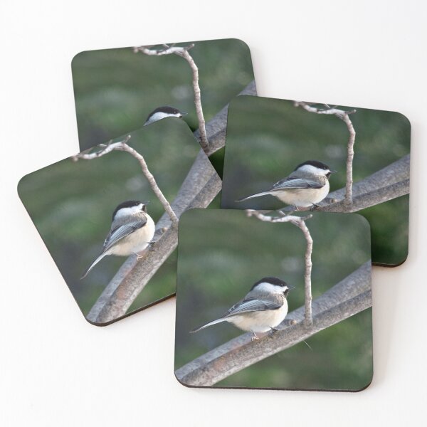 Item preview, Black-Capped Chickadee designed and sold by Yannik Hay.