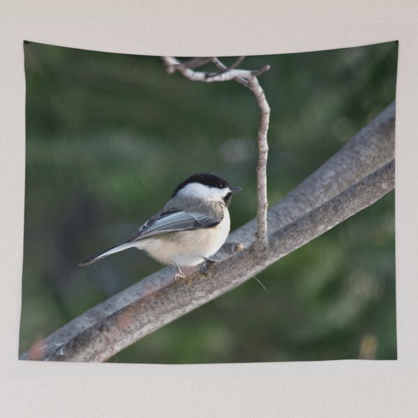 Item preview, Black-Capped Chickadee designed and sold by Yannik Hay.