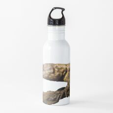 Eidechse Trinkflasche