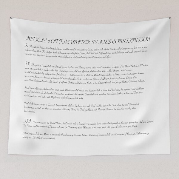 Item preview, Article 3 of the United States Constitution designed and sold by debatethewayout.