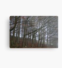 The sleeping trees of Winter Metal Print