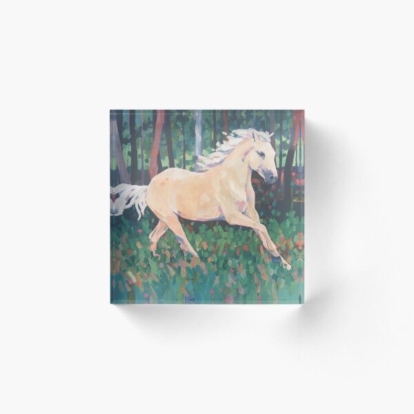 Silver Brumby Acrylic Block