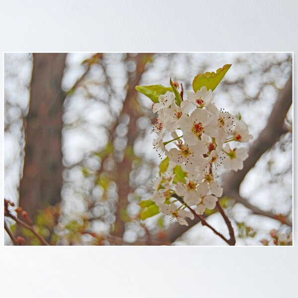 Item preview, Here comes spring designed and sold by Bree Waltman.