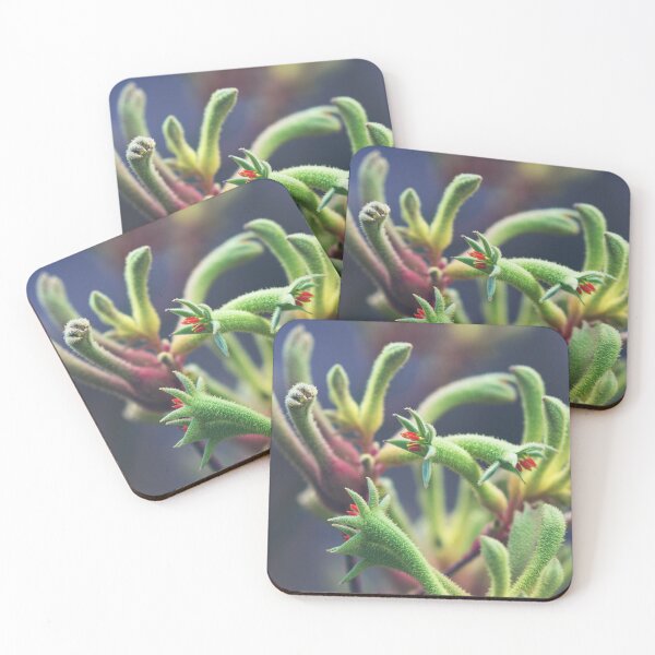 Item preview, Green Kangaroo Paw - Australian Wildflower in Bloom  designed and sold by Bellamaree.