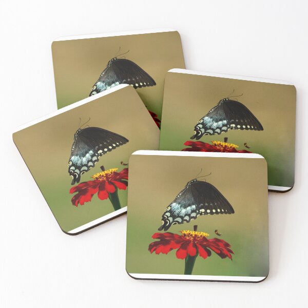 Item preview, Fly Away, Fly Away designed and sold by Brenda Burnett.