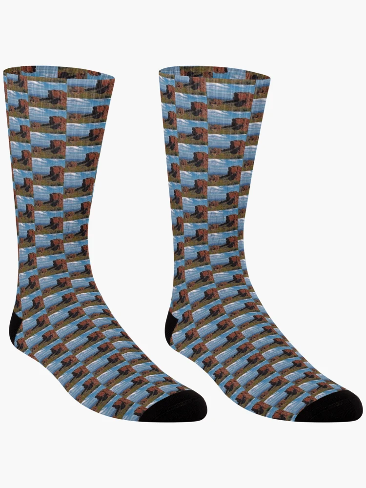 Thumbnail 3 of 5, Socks, Red Rocks designed and sold by Katagram.