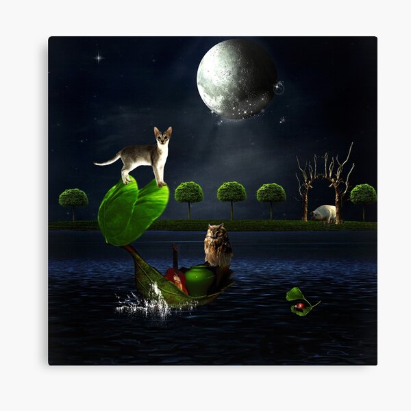 The Owl And The Pussycat.... Canvas Print