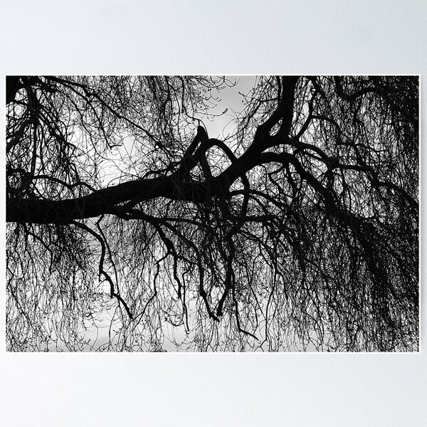 Item preview, Under The Winter Willow designed and sold by relayer51.