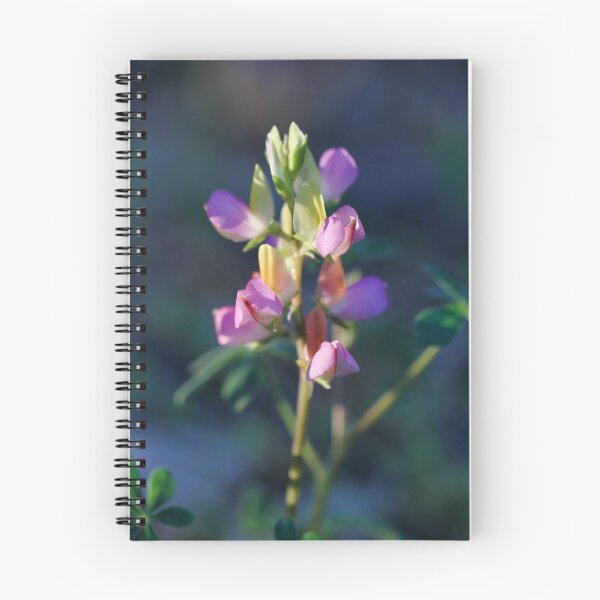 Item preview, Harlequin Lupine designed and sold by yosemiteHikes.