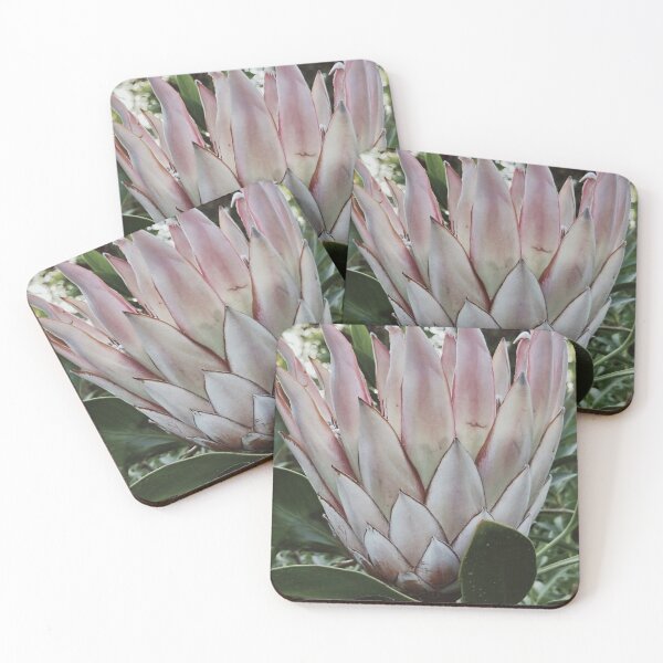 Item preview, Perfect King Protea Flower designed and sold by helpet58.