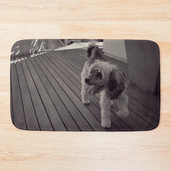 Item preview, Black and White Photo of Lowchen Dog Exploring His New Garden designed and sold by Paul Corps.