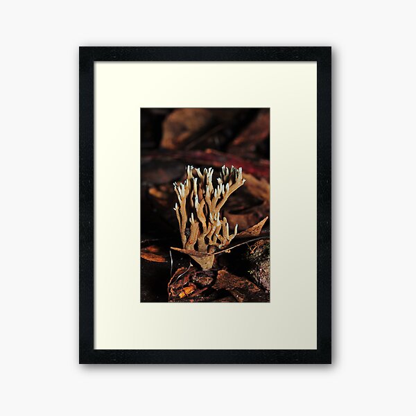 Item preview, Odd coral fungi designed and sold by Colin12.