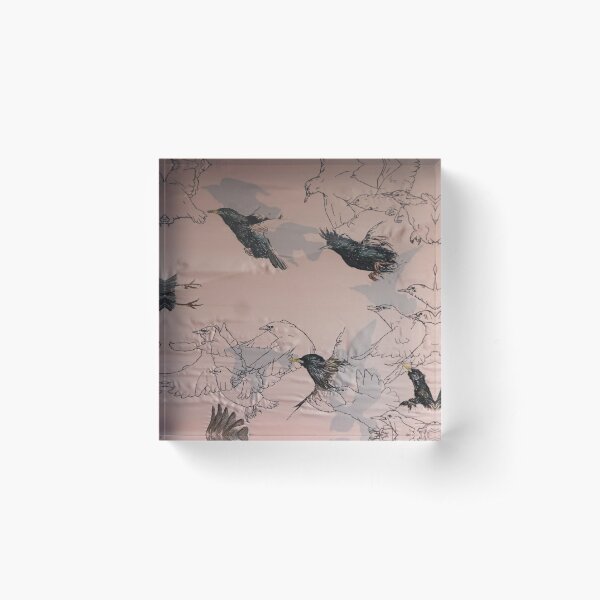 Starling Murmuration 1 Art Acrylic Block