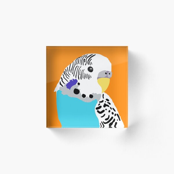 Noddy the budgerigar Acrylic Block