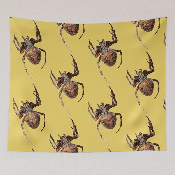 Item preview, Spotted Orbweaver Spider designed and sold by WanderingMogwai.