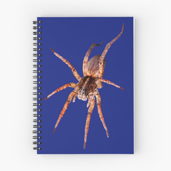 Item preview, Wolf Spider on Blue designed and sold by WanderingMogwai.
