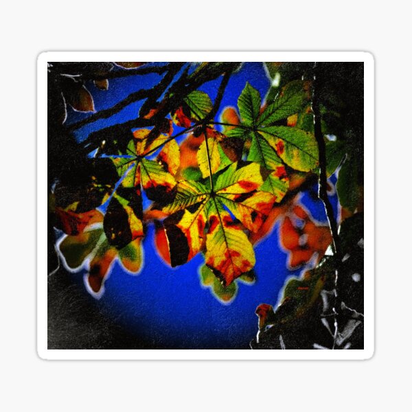 Item preview, Nature's Paintbox designed and sold by Don  Barrett.