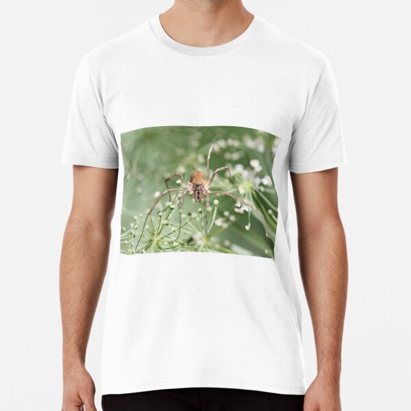 Spider Premium T-Shirt