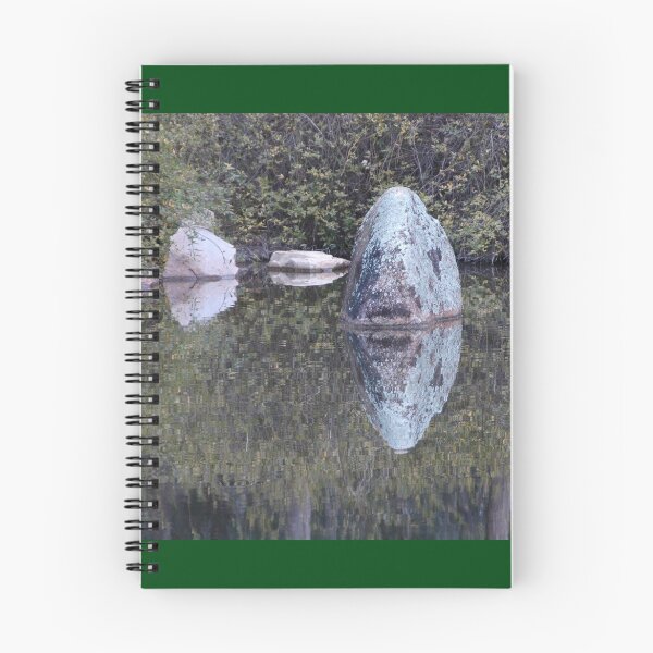 Item preview, Rock Reflections, Chinese Garden, Lambing Flat, Via Young designed and sold by muz2142.