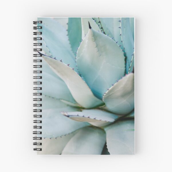 Item preview, Blue | Aloë Vera Succulent photography print | Soft colored designed and sold by raisazwart.