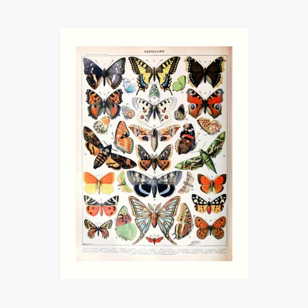 Adolphe Millot - Papillons A - French vintage poster Art Print