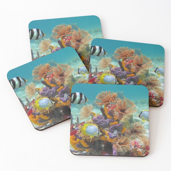 Item preview, Colorful marine life underwater in Caribbean sea designed and sold by Seaphotoart.