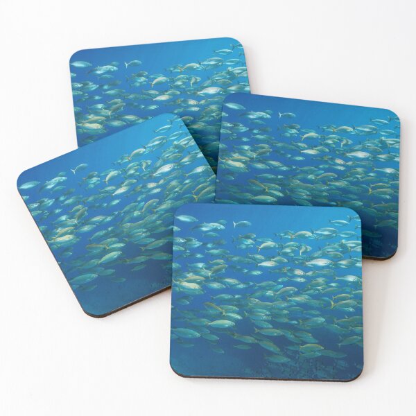 Item preview, School of fish underwater in the Mediterranean sea designed and sold by Seaphotoart.