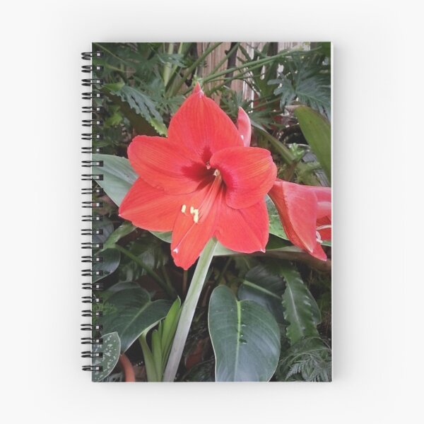Item preview, Biltmore Red designed and sold by Robin Kinnard.