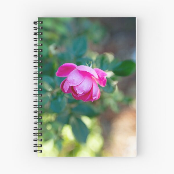 Item preview, Pink Petals on Bokeh designed and sold by KbytesOfJax Outdoor and Nature.