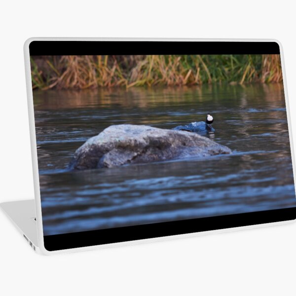 All the waters passing by. White-throated dipper Laptop Skin
