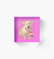 Bella 2 Acrylic Block