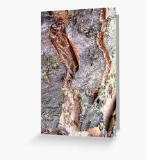 Insect artwork... Greeting Card